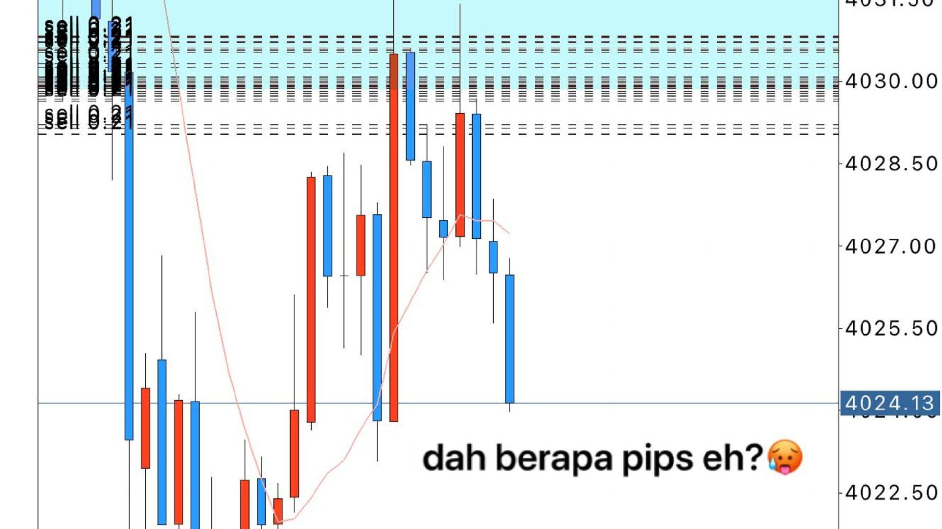 BAMBIL TRADER KAMPUNG