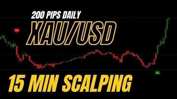 𝐆𝐎𝐋𝐃 𝐒𝐈𝐆𝐍𝐀𝐋 𝐕𝐈𝐏