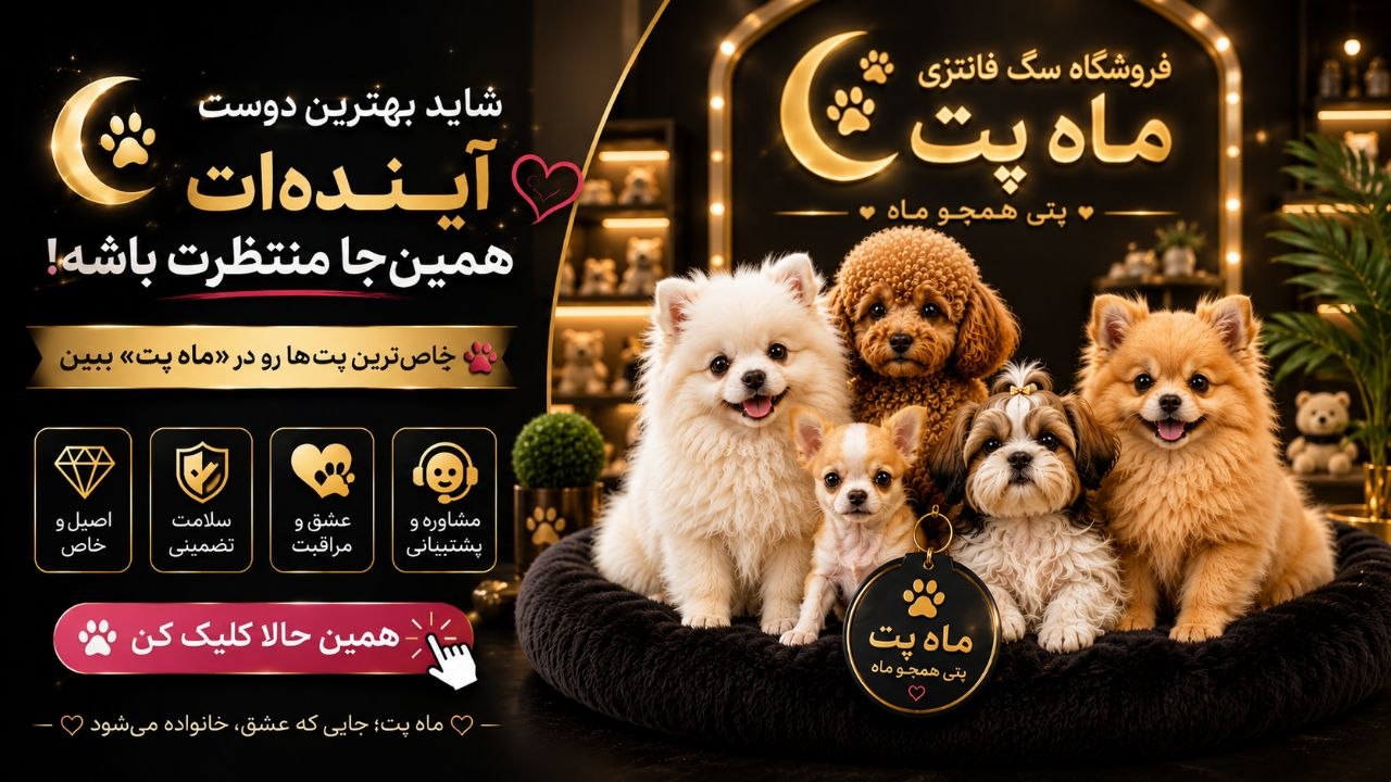 ماه پت | 𝐌𝐀𝐇𝐏𝐄𝐓 🌓 فروشگاه سگ فانتزی ( پامرانین | پودل | شیتزو ) | 𝐌𝐀𝐇𝐏𝐄𝐓