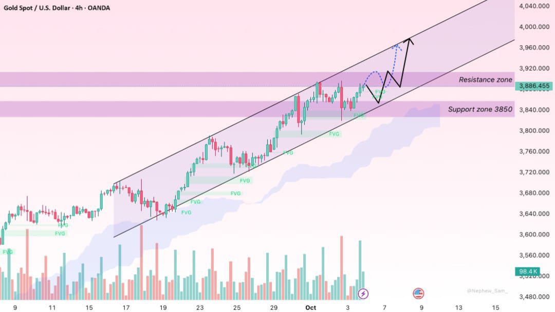 GOLD TRADER MO