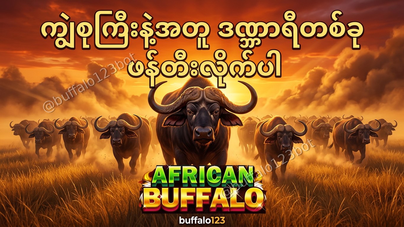 ကျွဲဂိမ်း Buffalo123 Official