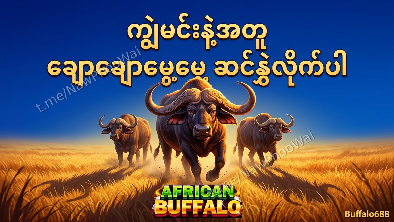 ⏰ ကျွဲဂိမ်း - နော်ဖူးဝေ 24 နာရီဝန်ဆောင်မှု