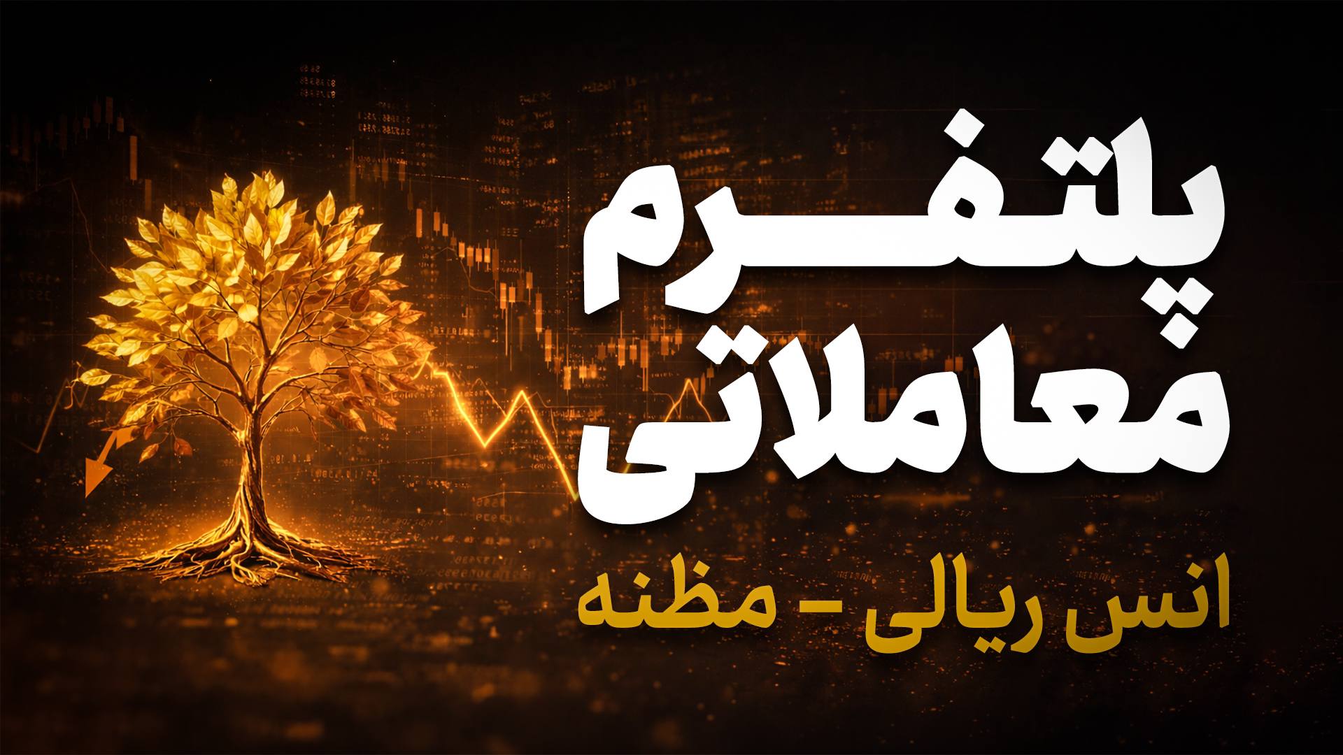 Alphagoldx | آلفا گلد ایکس