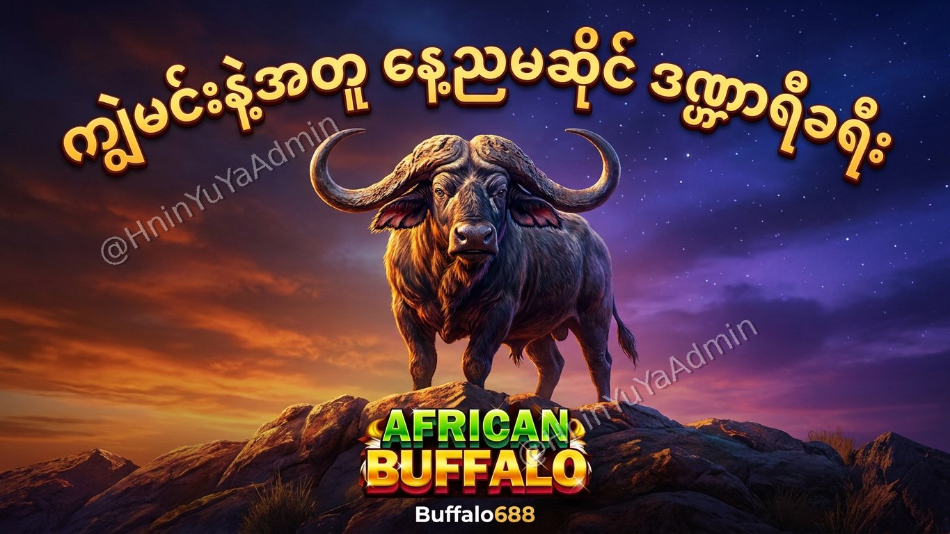 ကျွဲဂိမ်းအစစ် Buffalo688 ၊ကျွဲဘုရင် ၊ရှမ်းကိုးမီး၊ဘူကြီး