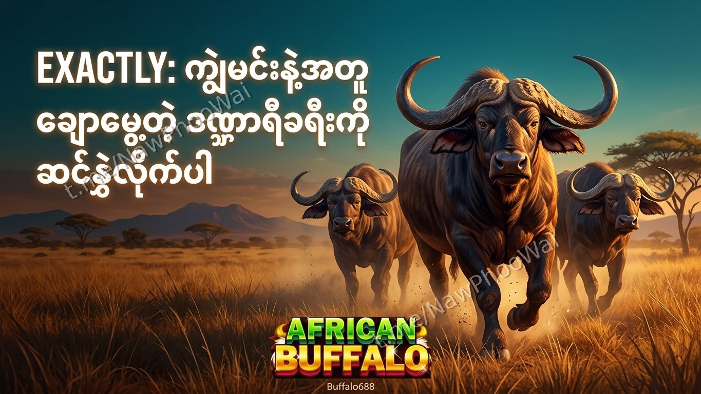 ⏰ ကျွဲဂိမ်း - နော်ဖူးဝေ 24 နာရီဝန်ဆောင်မှု