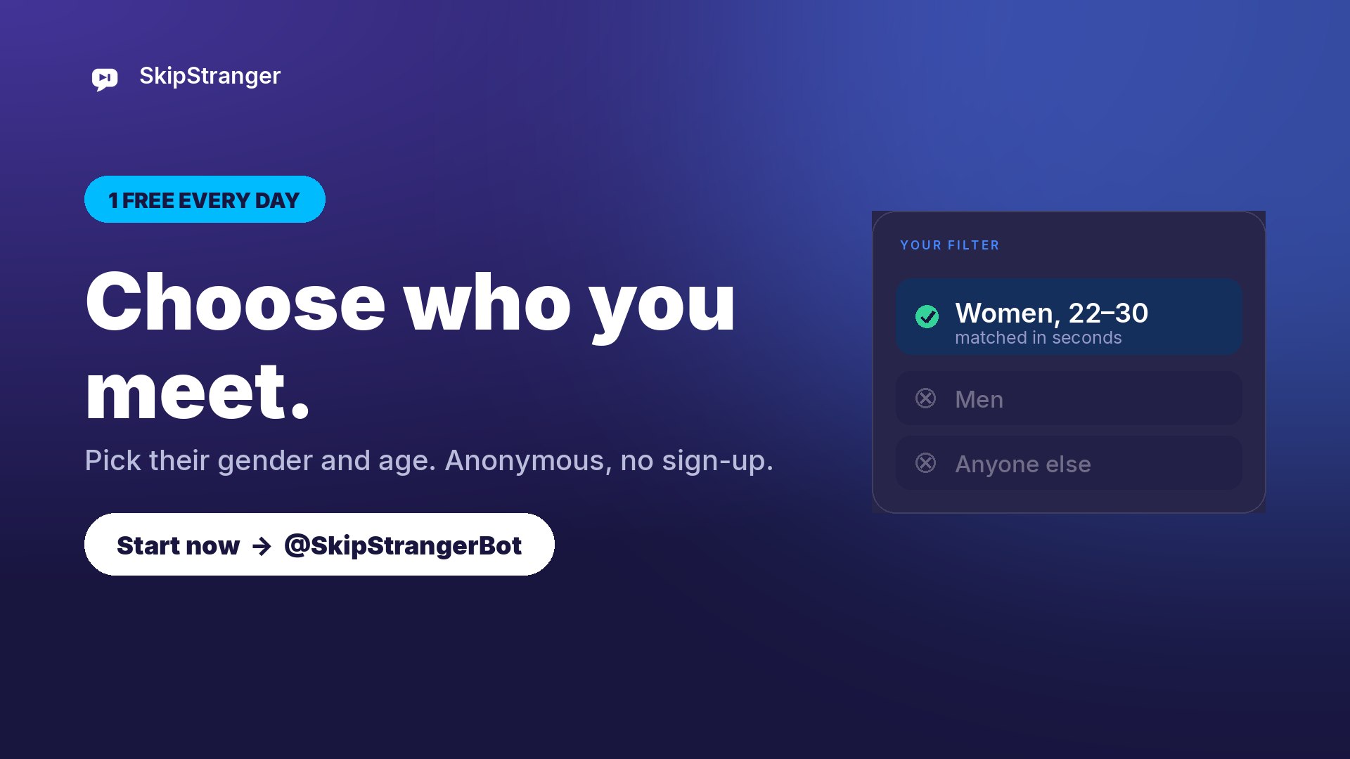 SkipStranger — Anonymous Chat Updates