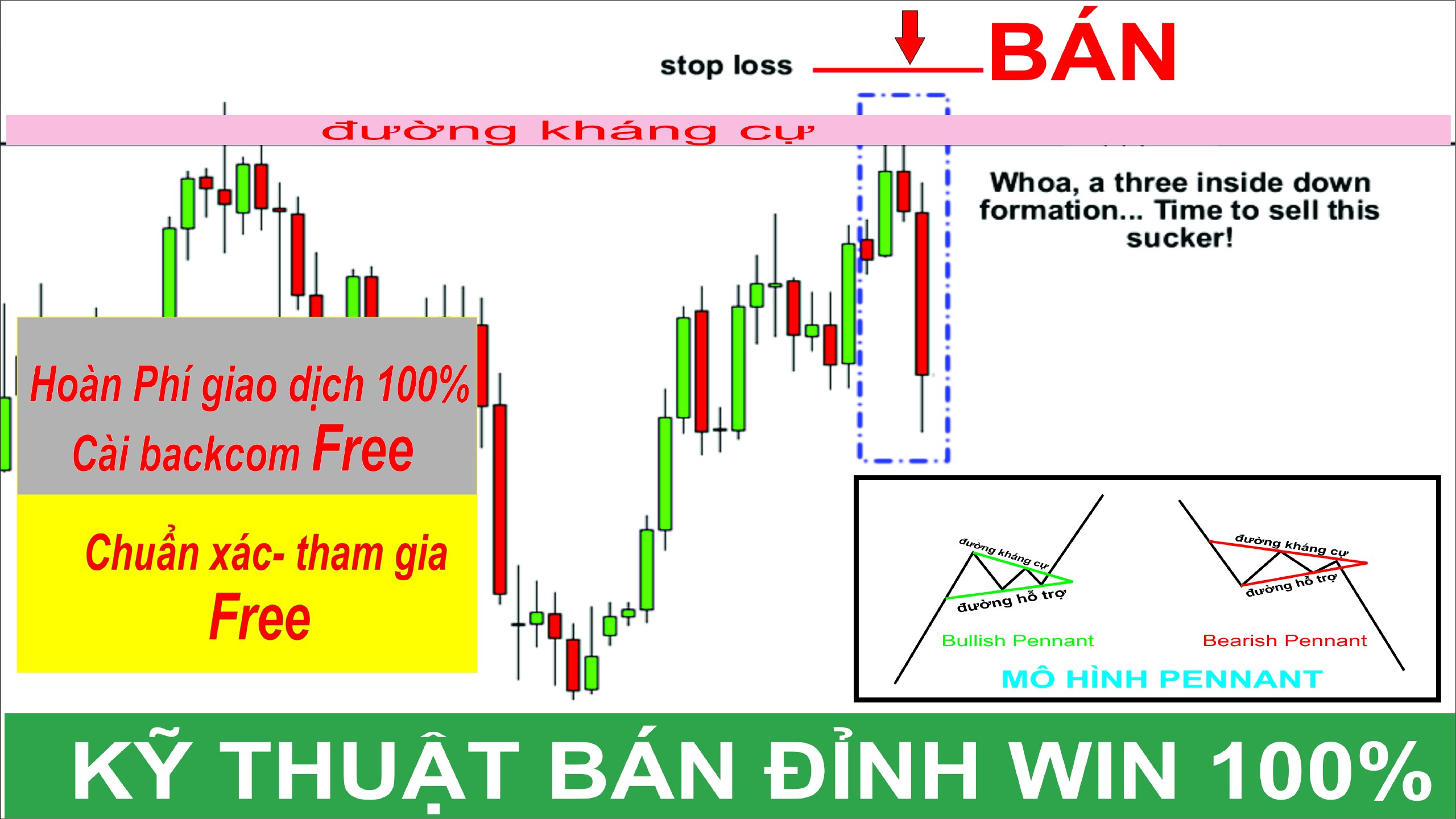 🇻🇳From47Fx TRADING
