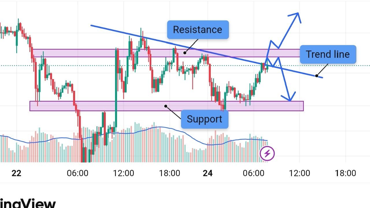 ALPHA USA TRADERS 🇺🇸