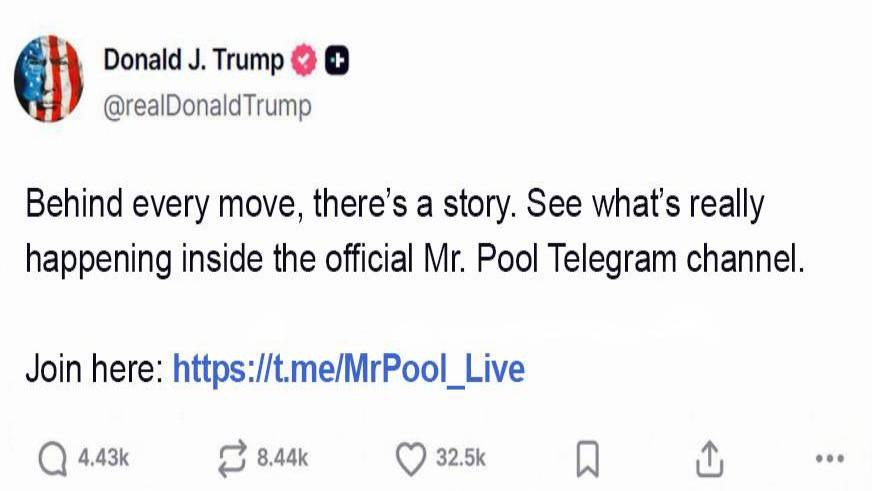 Mr Pool