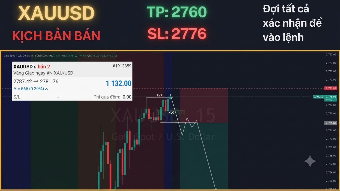 𝗥𝗢𝗬𝗔𝗟 𝗚𝗢𝗟𝗗 𝗧𝗥𝗔𝗗𝗘𝗥