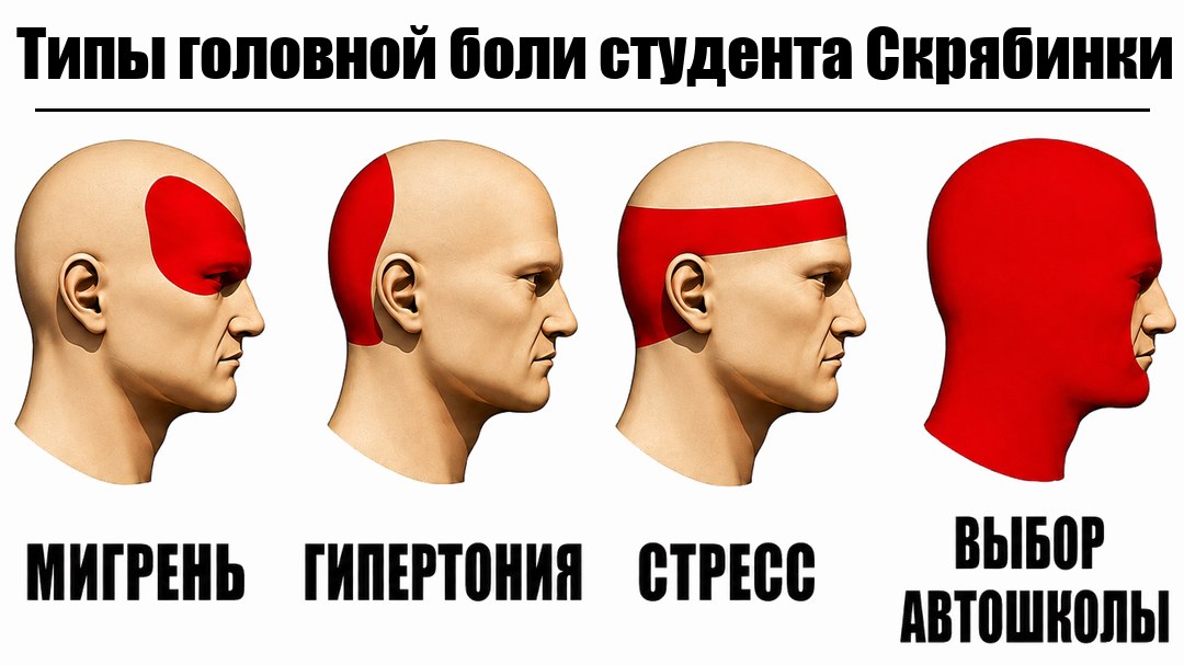 Автошкола для студентов Скрябинки