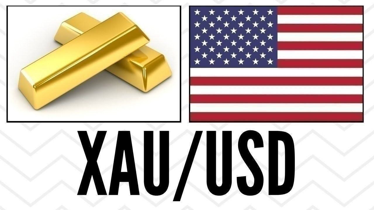 𝐆𝐎𝐋𝐃 𝐒𝐈𝐆𝐍𝐀𝐋 𝐕𝐈𝐏