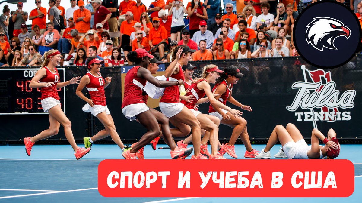 Спортивные стипендии в США | CollegeSportUSA