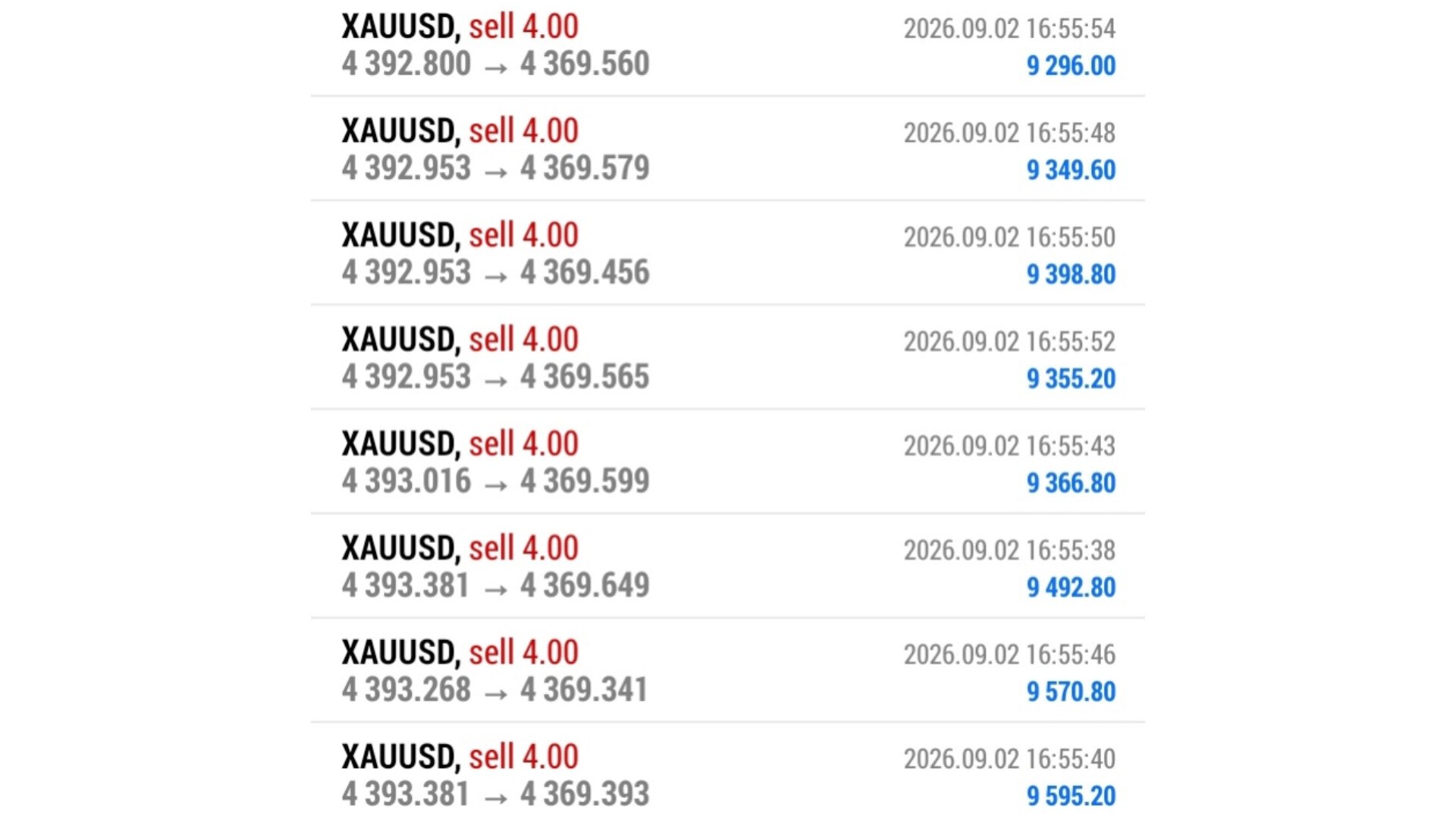Algo Fx insight